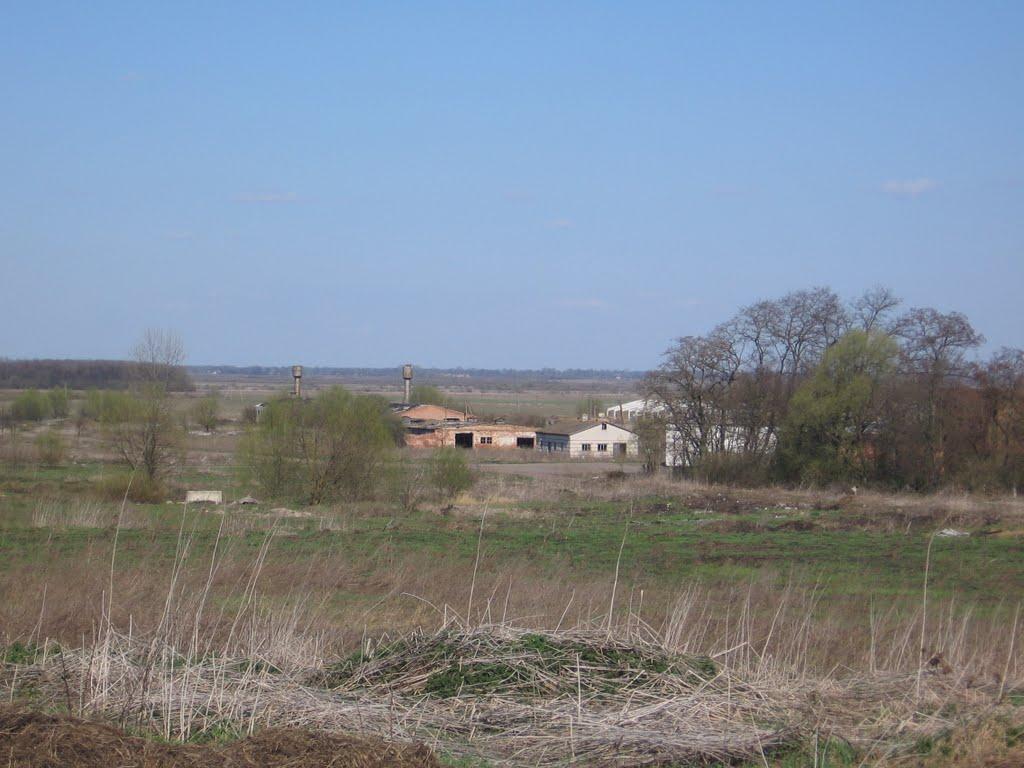 Петрушин з panoramio.com - Петрушин