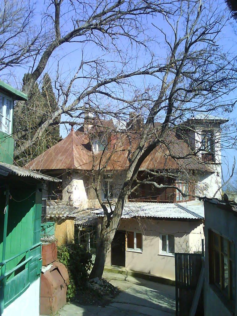 Голуба Затока з panoramio.com (ч.2) - Голубая Затока