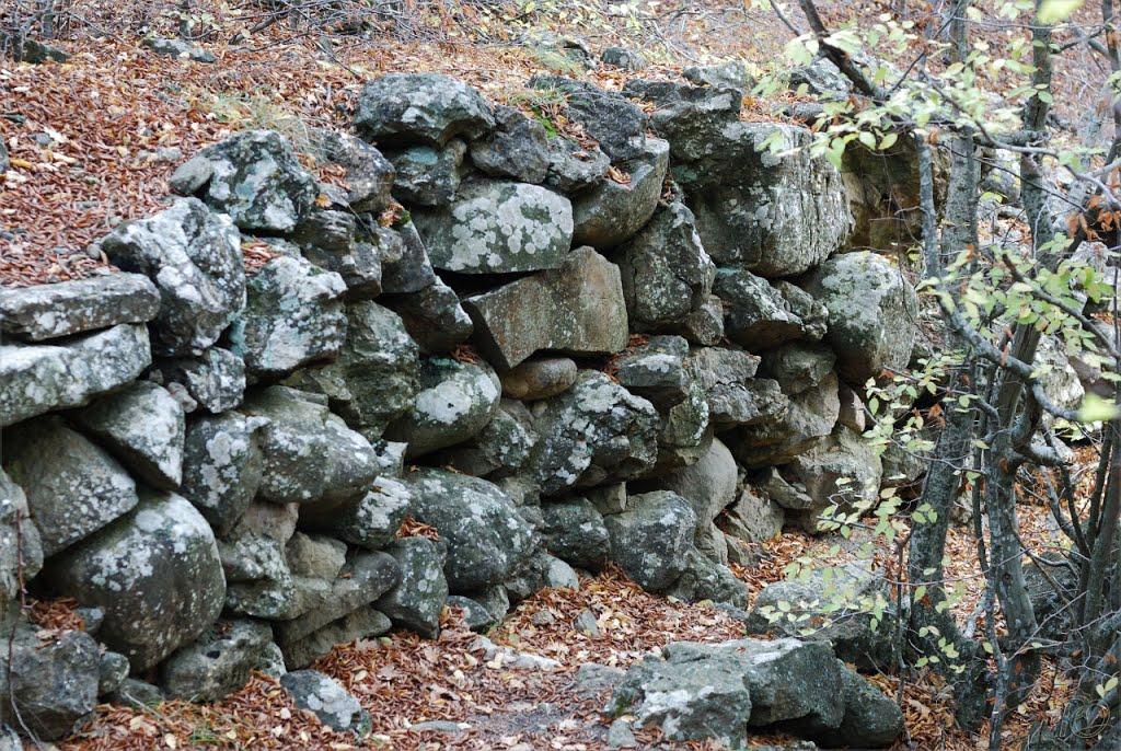 Долина з panoramio.com - Долина