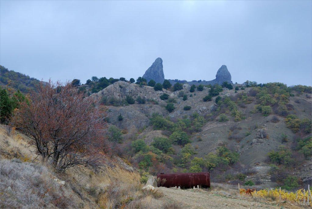 Долина з panoramio.com - Долина