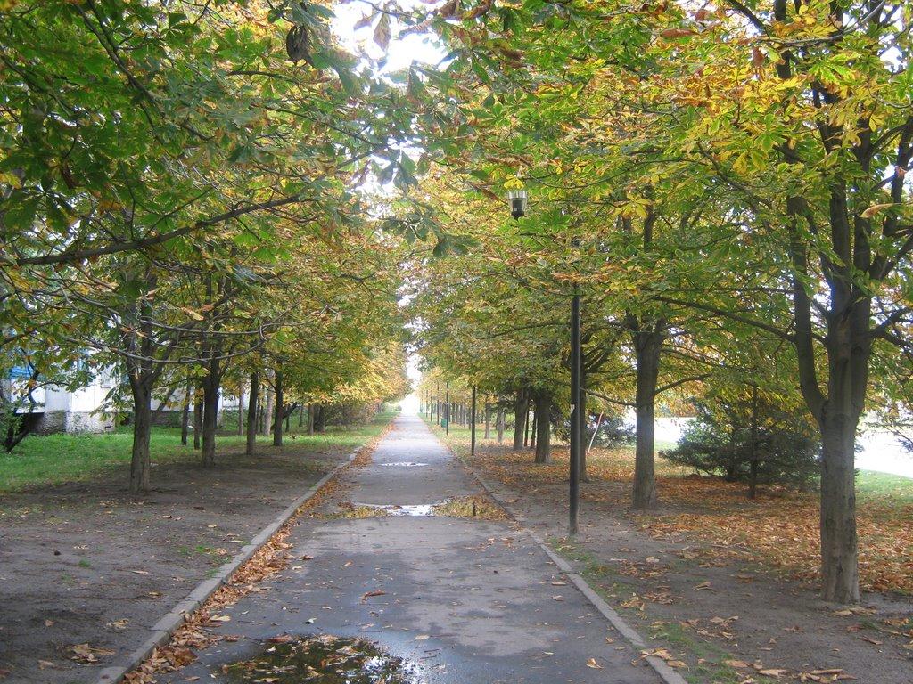 Комсомольськ з panoramio.com - Комсомольск