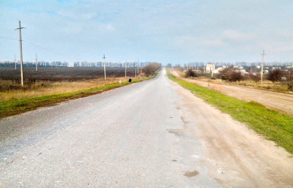 Нове з panoramio.com - Нове