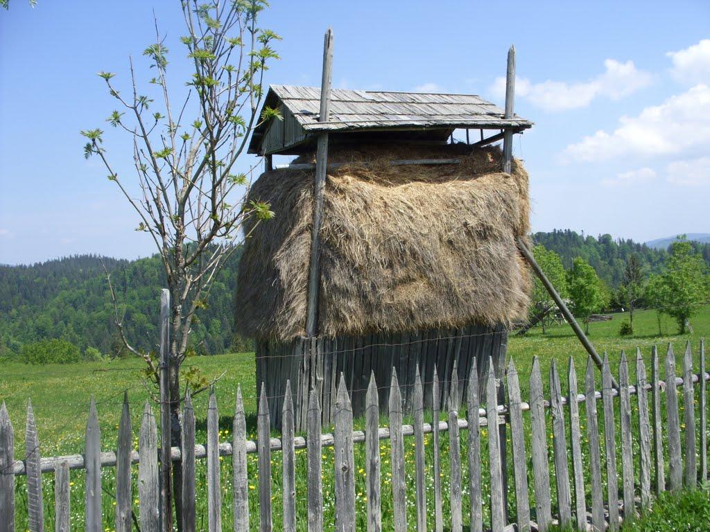 Фальків з panoramio.com (ч.2) - Фальків