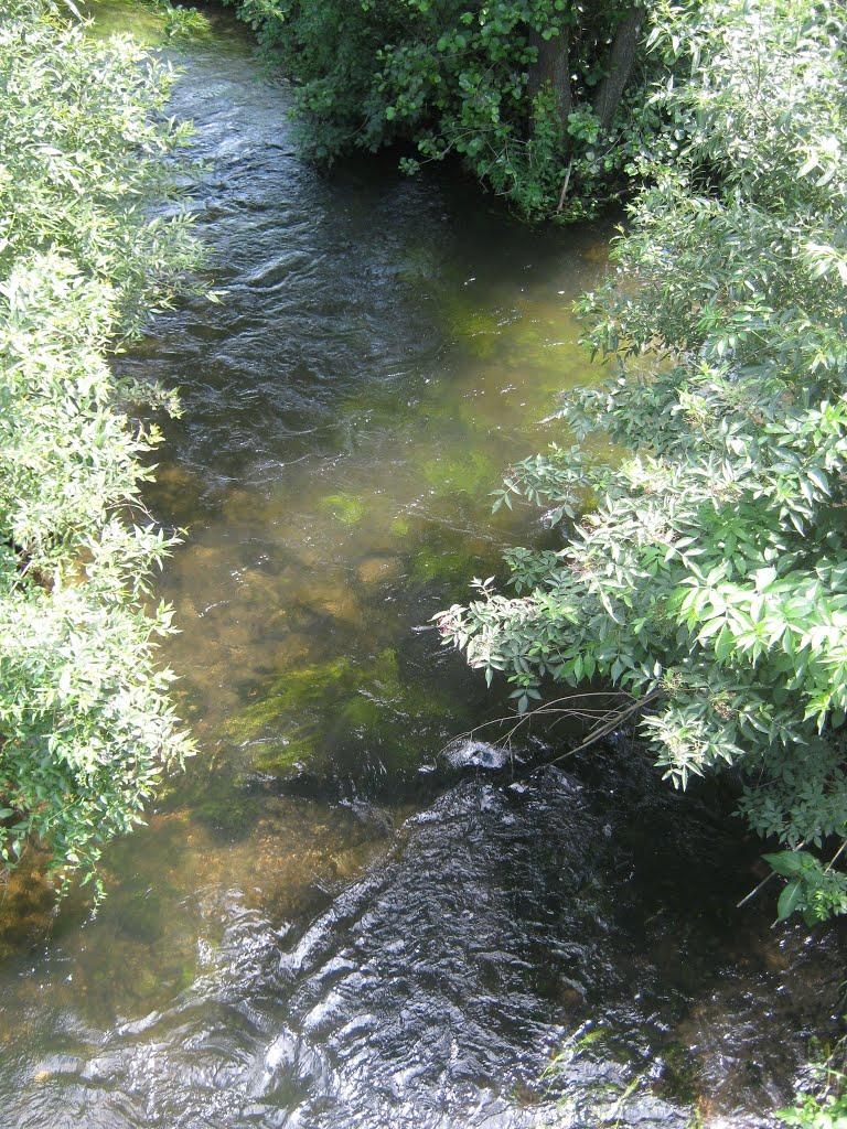 Радивилів з panoramio.com - Радивилів