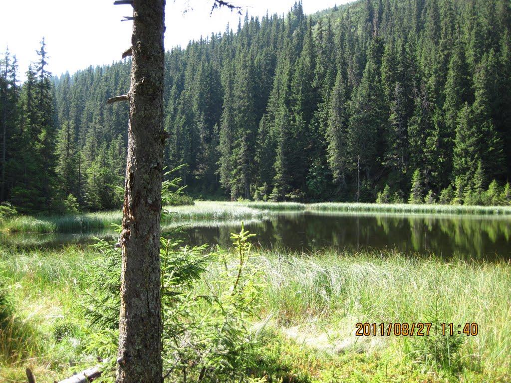 Берестечко з panoramio.com (ч.2) - Берестечко
