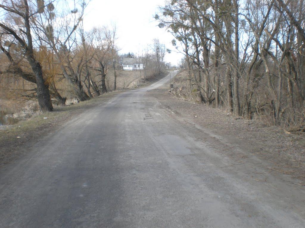 Кищенці з panoramio.com - Кищенці