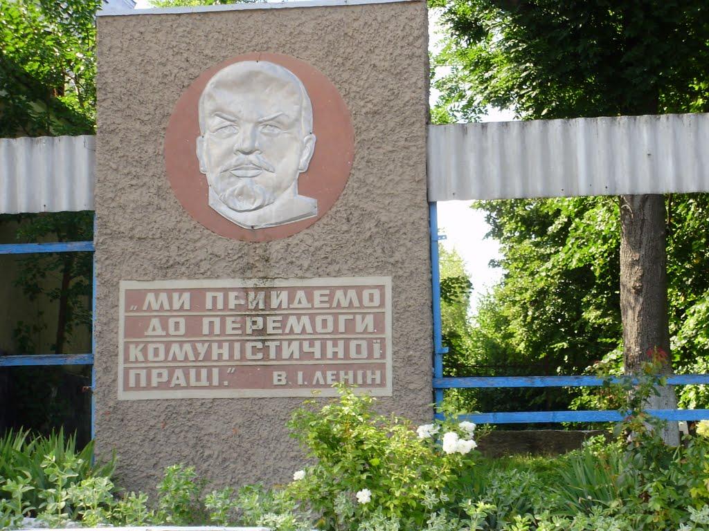 Дмитрашківка з panoramio.com - Дмитрашківка