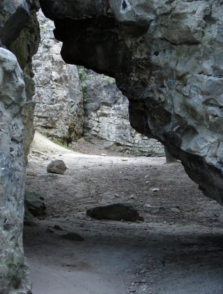 Винники з panoramio.com - Винники