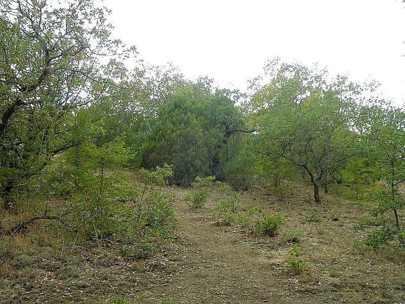Рибаче з panoramio.com (ч.2) - Рибаче