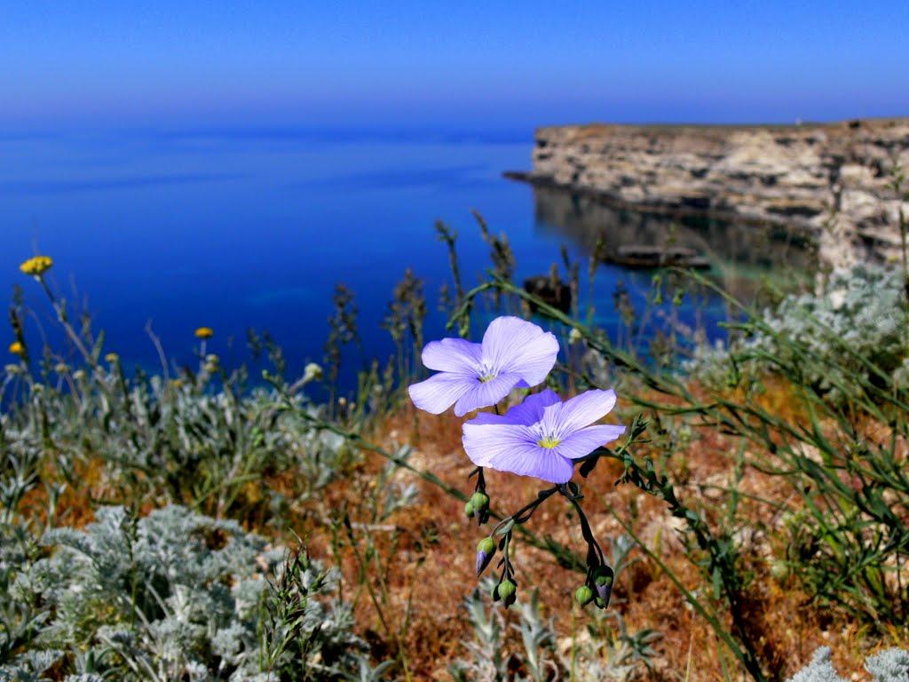 Маяк з panoramio.com - Маяк
