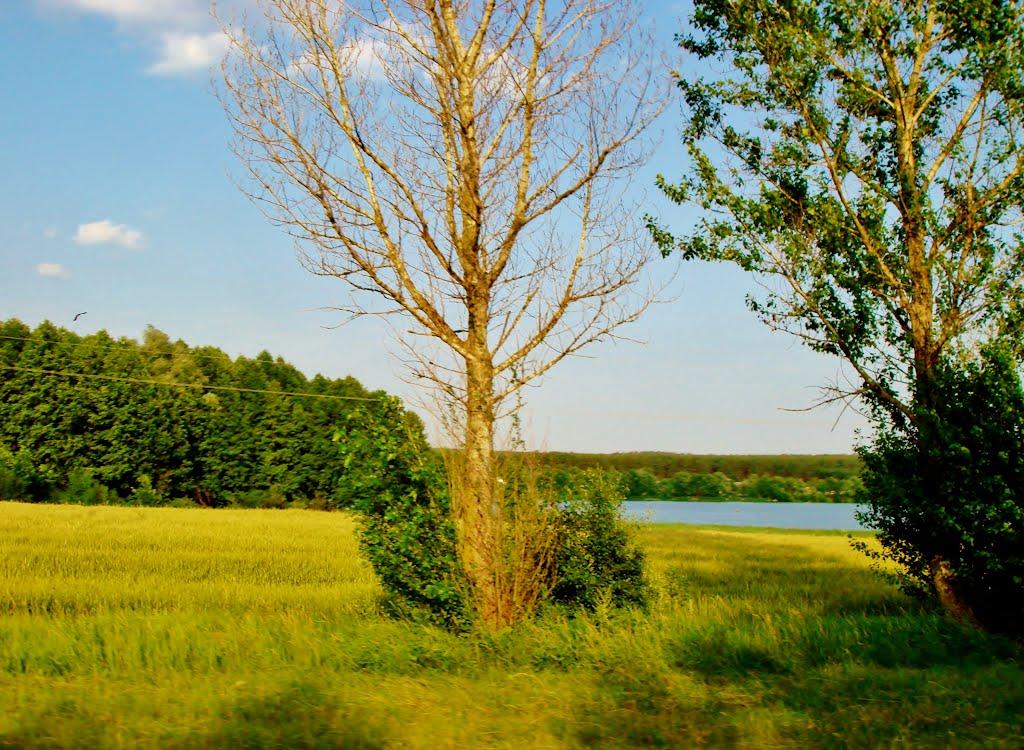 Хлипнівка з panoramio.com - Хлипнівка