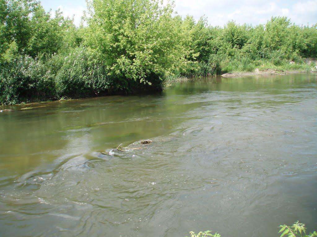 Бухарів з panoramio.com - Бухарів