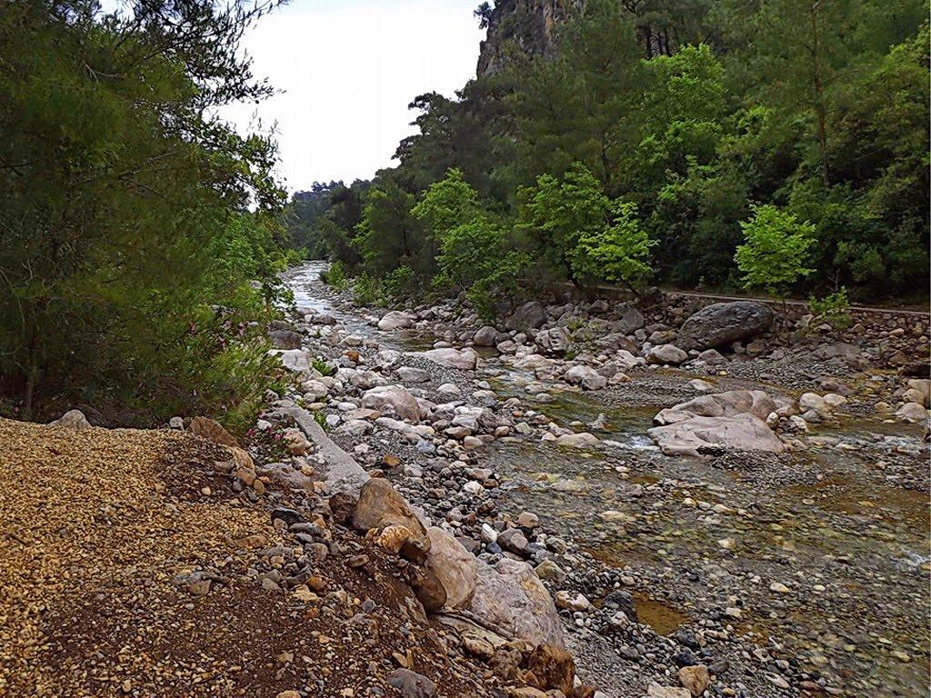 Верхня Кринка з panoramio.com - Верхня Кринка