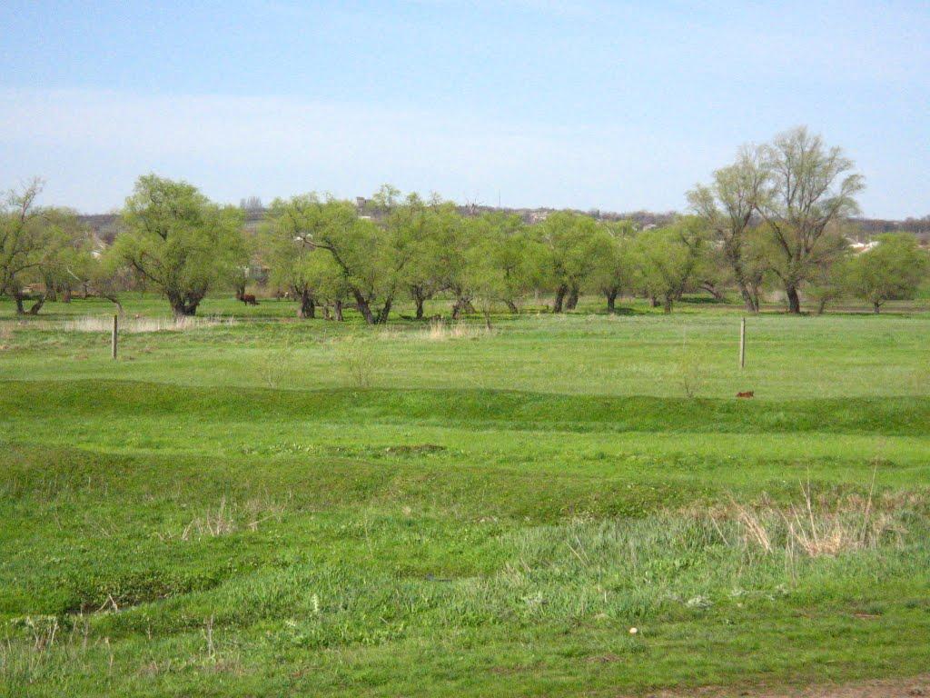 Старогнатівка з panoramio.com - Старогнатівка