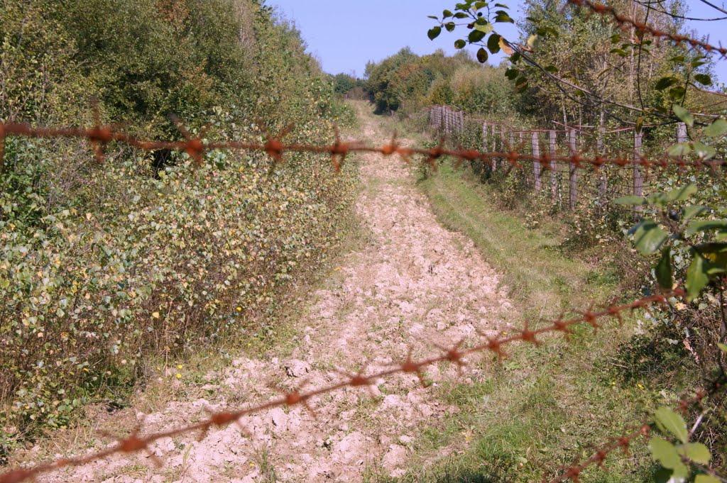 Малий Березний з panoramio.com - Малый Березный