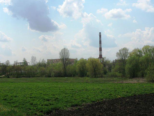 Червоний Кут з panoramio.com - Червоный Кут