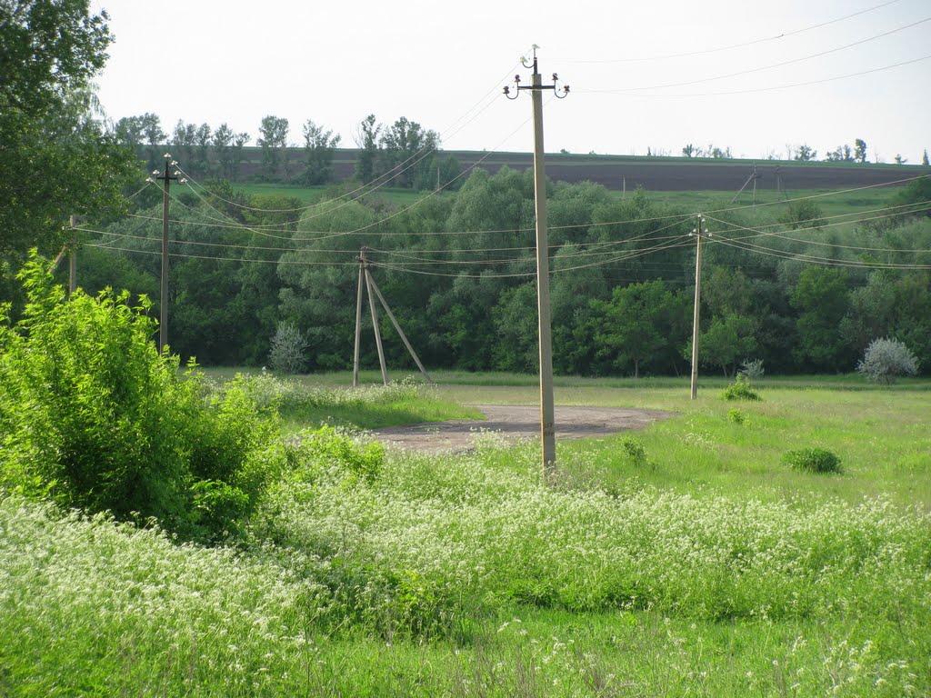 Волохів Яр з panoramio.com - Волохів Яр