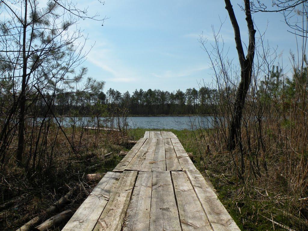 Бережниця з panoramio.com - Бережниця