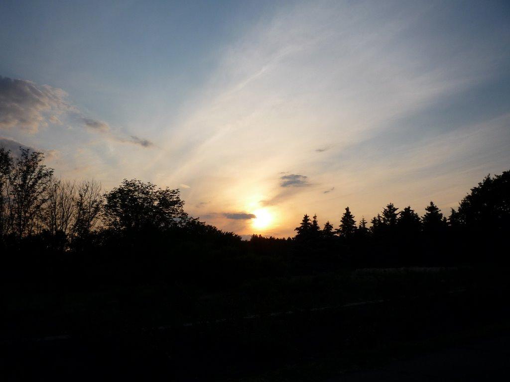 Кам'яне Поле з panoramio.com - Кам'яне Поле