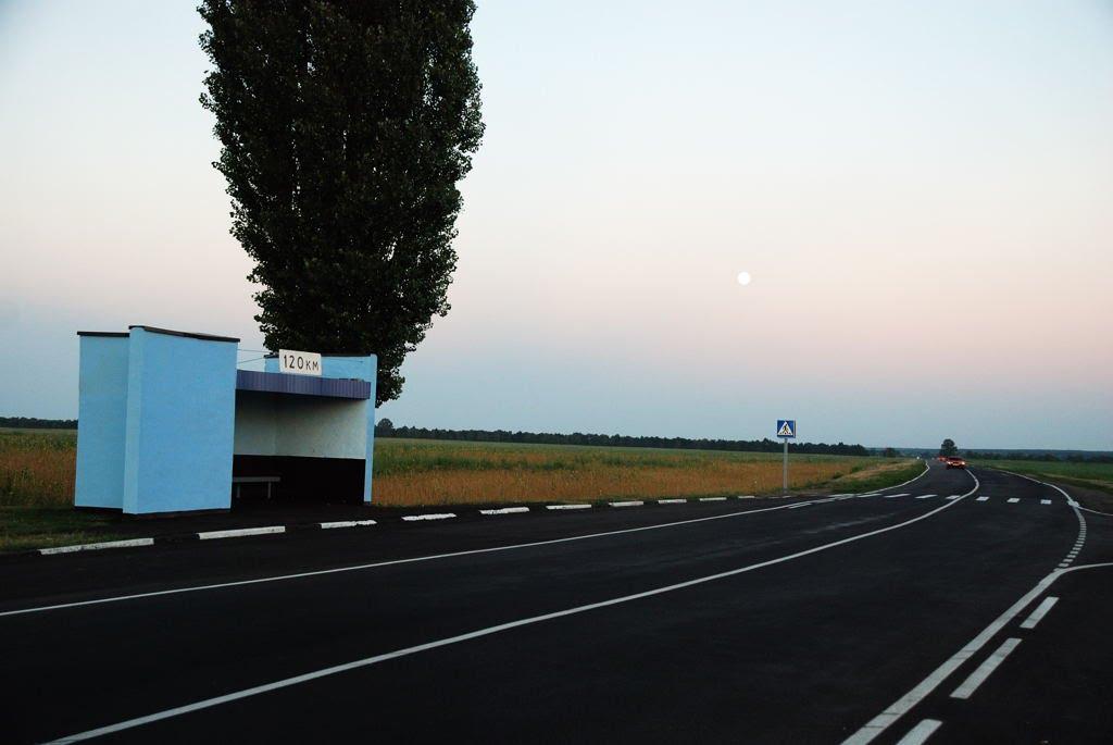 Худоліївка з panoramio.com - Худоліївка