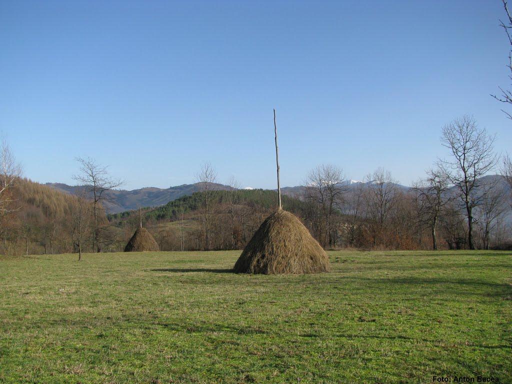 Великий Бичків з panoramio.com - Великий Бичків