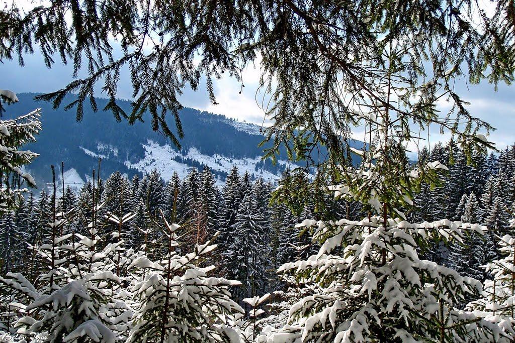 Стебний з panoramio.com - Стебний