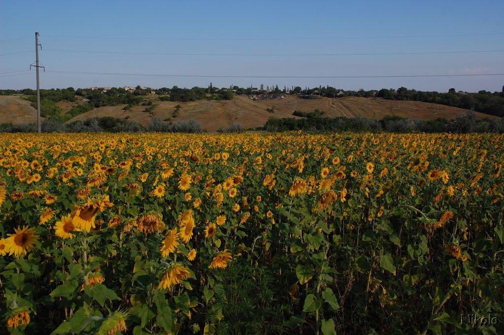 Нижнє з panoramio.com - Нижнє