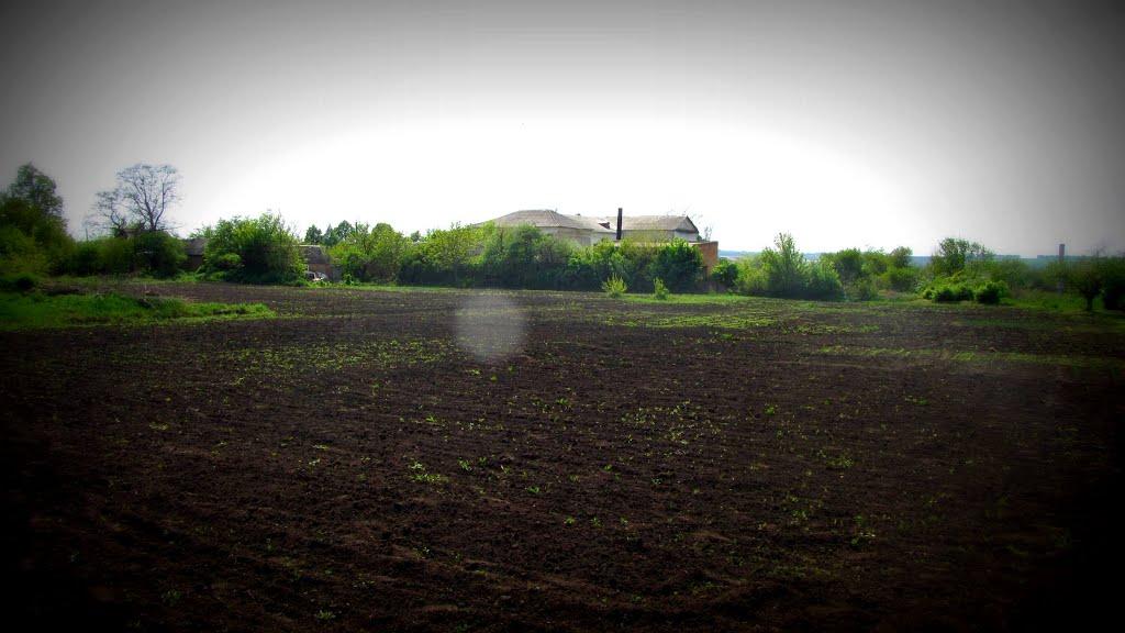 Аджамка з panoramio.com - Аджамка