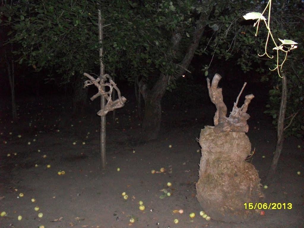 Коршачина з panoramio.com - Коршачина