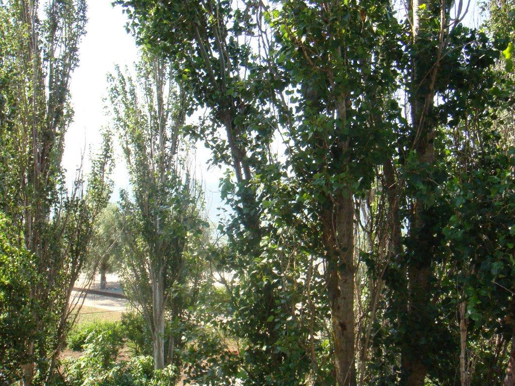 Морське з panoramio.com - Морське