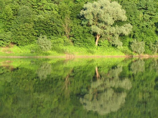 Долина з panoramio.com - Долина
