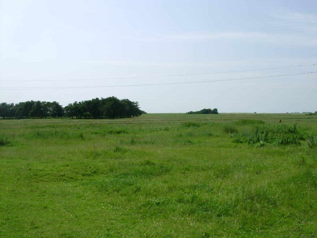 Серкізів з panoramio.com - Серкизов