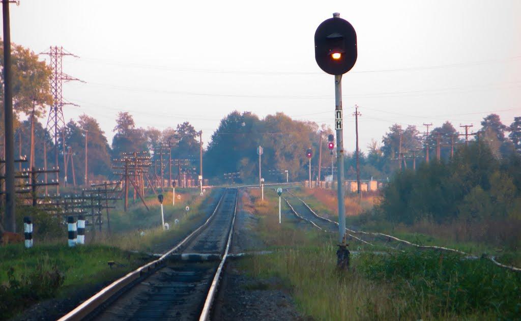 Кам'янка-Бузька з panoramio.com - Каменка-Бугская