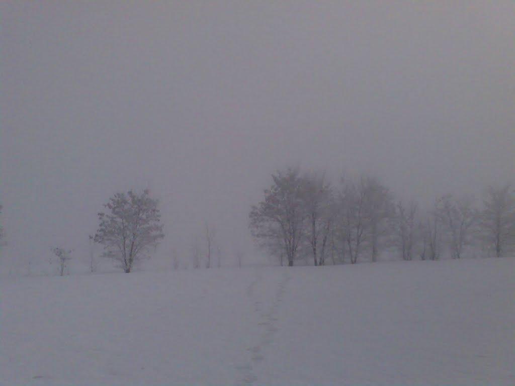 Грабовське з panoramio.com - Грабовське