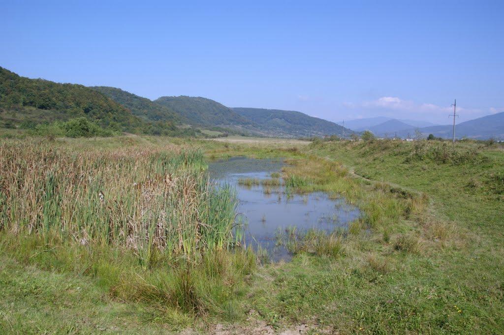 Малий Березний з panoramio.com - Малий Березний