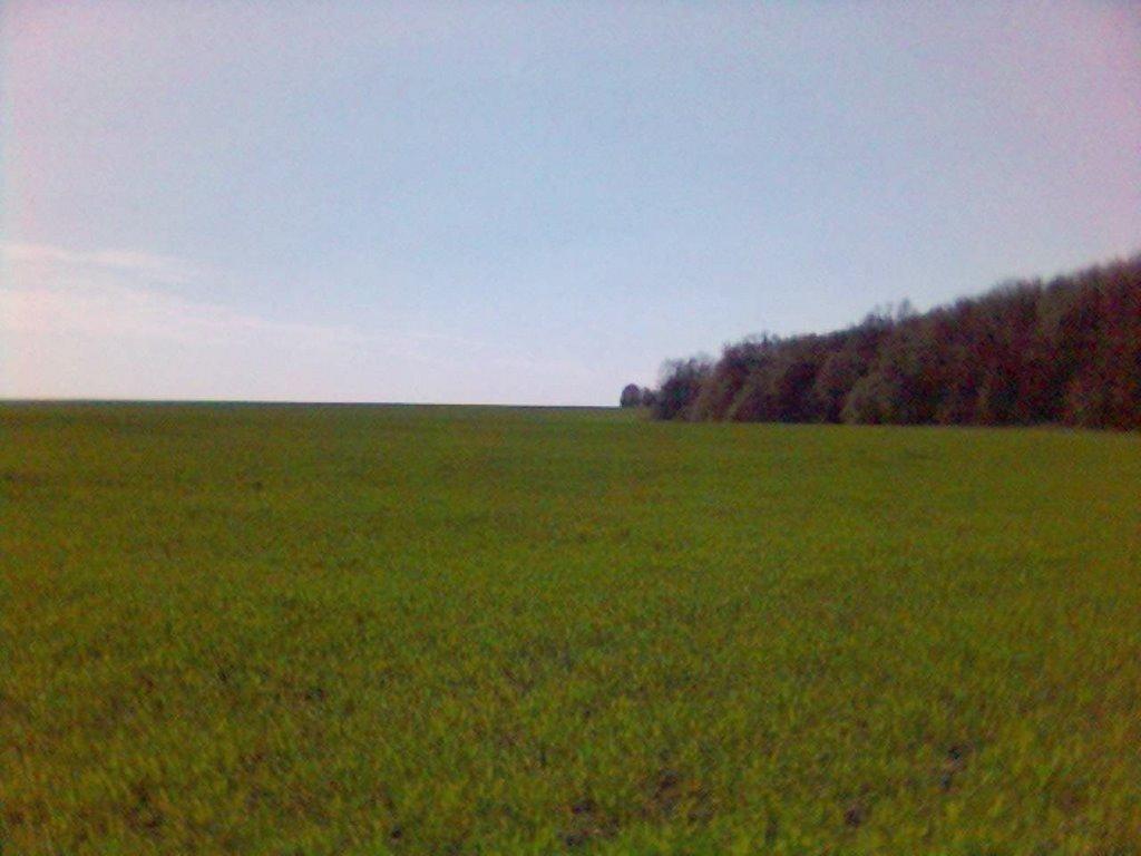 Ярмолинці з panoramio.com - Ярмолинцы