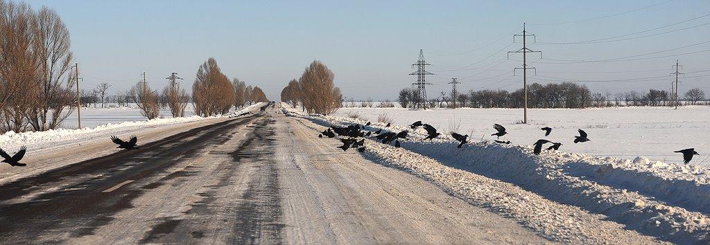 Вознесенка з panoramio.com - Voznesenka