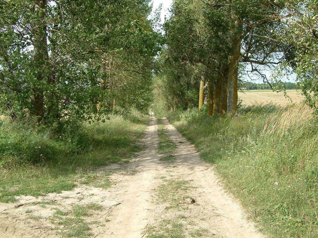 Млинів з panoramio.com - Млинов