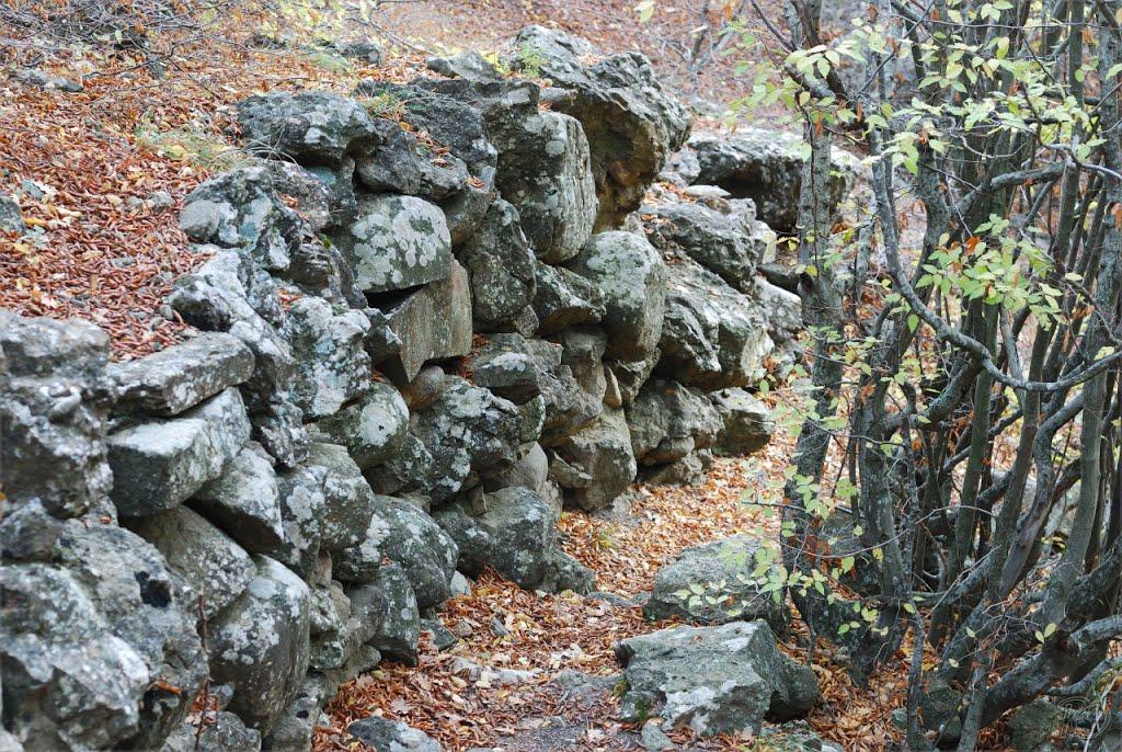 Долина з panoramio.com - Долина