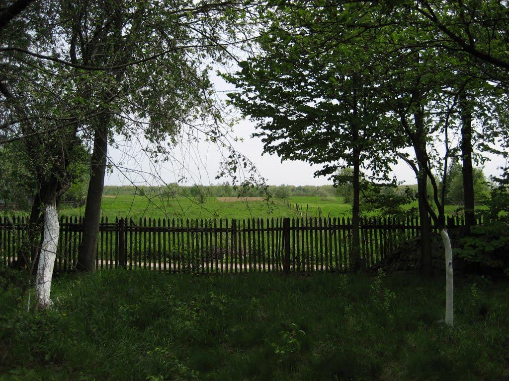 Волосів з panoramio.com - Волосів