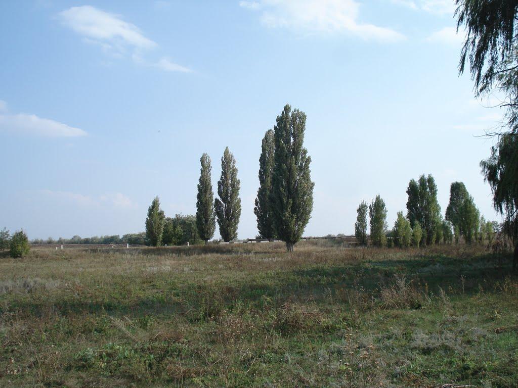 Червоногірка з panoramio.com - Червоногорка