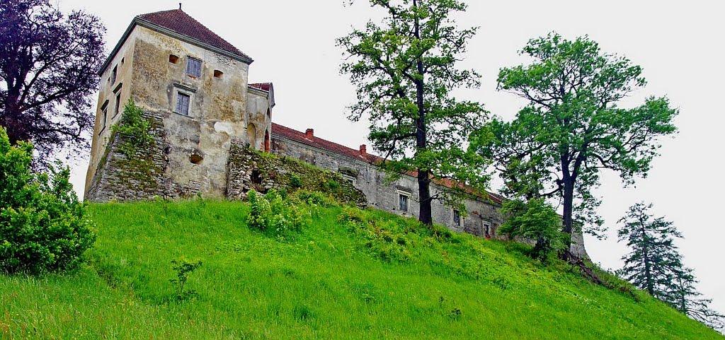 Свірж з panoramio.com - Свирж