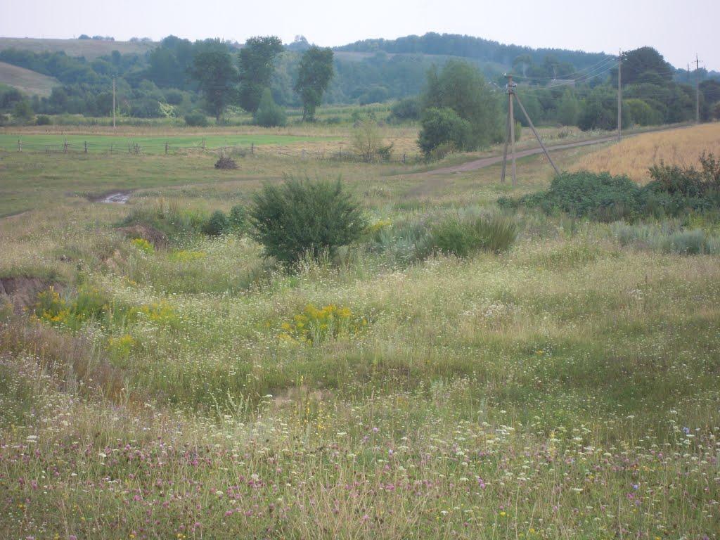 Припутенка з panoramio.com - Припутенка