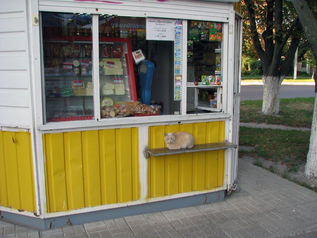 Фастів з panoramio.com (ч.2) - Фастов
