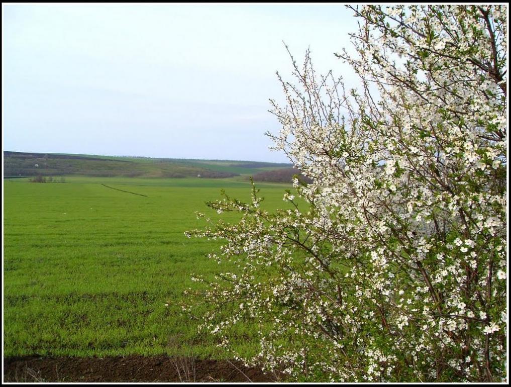 Горянка з panoramio.com - Горянка