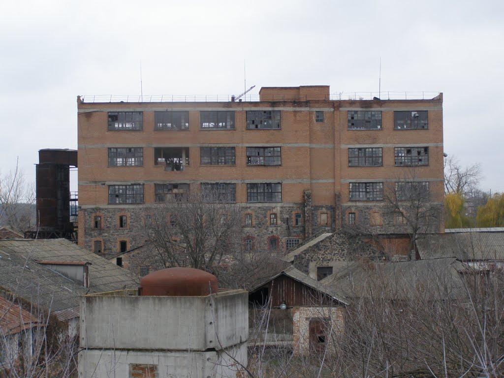 Солгутове з panoramio.com - Солгутове