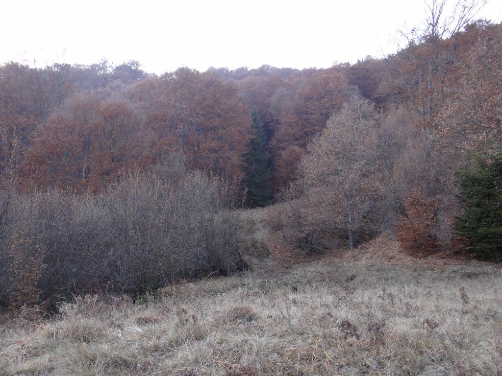 Хмелів з panoramio.com - Хмелів