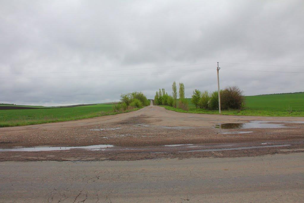 Гвоздавка Друга з panoramio.com - Гвоздавка Вторая