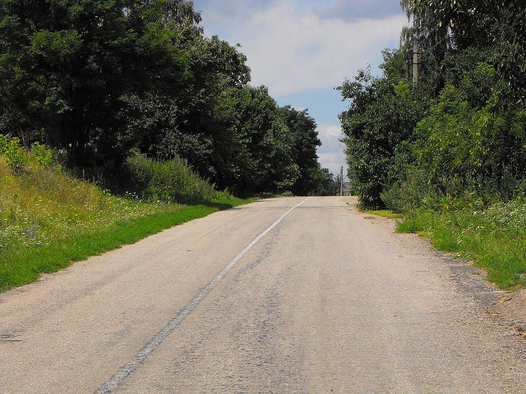 Велика Березянка з panoramio.com - Велика Березянка