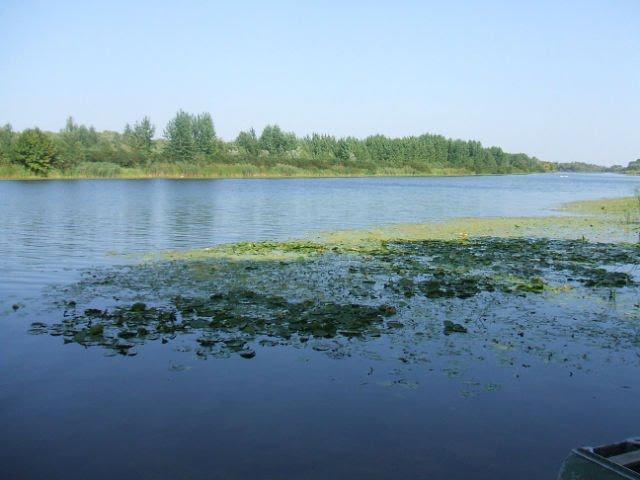 Козачі Лагері з panoramio.com - Козачие Лагеря